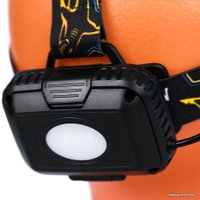 Фонарь GOLDEN SHARK Sport