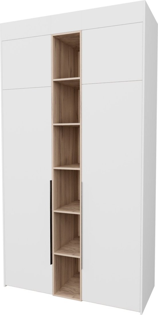 

Шкаф распашной Рэйгрупп Рэй S245-В4-EBЕ В4 (дуб элисон/белый премиум)