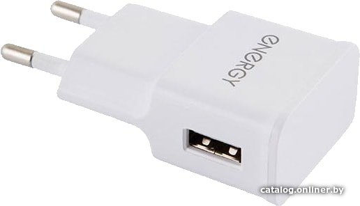 Сетевое зарядное Energy ET-09 (белый)