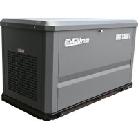 Газовый генератор Evoline GNG 13500 E в Лиде