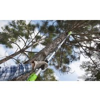 Высоторез Greenworks G24PS20K2 (с 1-м АКБ 2 Ah)