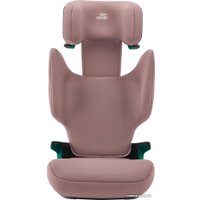 Детское автокресло Britax Romer Discovery Plus 2 (dusty rose)