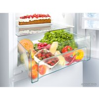 Холодильник Liebherr CNP 4313