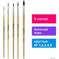 Набор кистей BRAUBERG Беличья 200217 (5 шт)