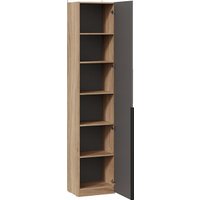 Шкаф-пенал Трия Порто СМ-393.07.212 с 1 зеркальной дверью (яблоня беллуно/графит)