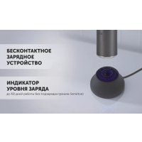 Электрическая зубная щетка Polaris PETB 0302 (черный)