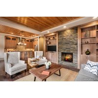 Электрокамин Dimplex Revillusion RLG25