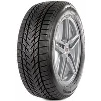 Зимние шины Centara Vanti Winter 165/70R13 79T