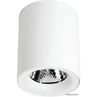 Точечный светильник Arte Lamp Facile A5112PL-1WH