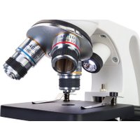 Микроскоп Levenhuk Discovery Femto Polar с книгой 77986