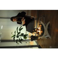 Биокамин ZeFire Iris средний светлый