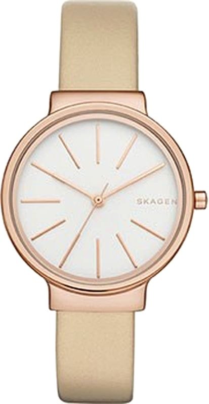 

Наручные часы Skagen SKW2481