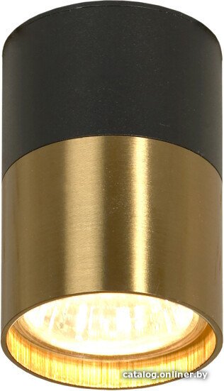 Спот Lussole Gilbert LSP-8555