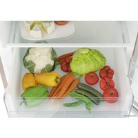 Холодильник Candy CCRN 6200G