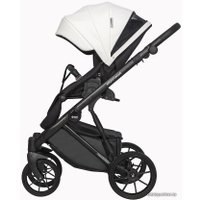 Универсальная коляска Riko Basic Montana Ecco (3 в 1, 11/белый)