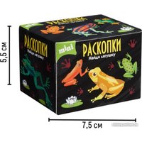 Набор для опытов Bumbaram Раскопки. Лягушки dig-109