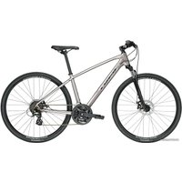 Велосипед Trek Dual Sport 1 (серебристый, 2019)