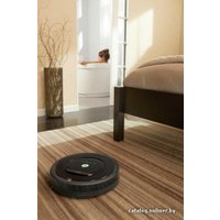 Робот-пылесос iRobot Roomba 880