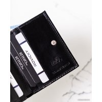 Кошелек Cedar 4U Cavaldi RD-AN01-GCL (черный)