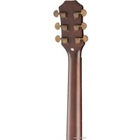 Акустическая гитара Ramis RA-C07