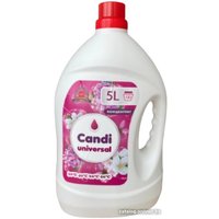 Гель для стирки Factory Ksonas Candi Universal (5л)