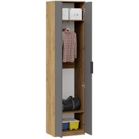 Шкаф распашной Трия Хилтон для одежды исп.2 (дуб крафт золотой/графит матовый)