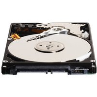 Жесткий диск WD Blue 320GB [WD3200LPCX]