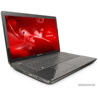 Ноутбук Packard Bell EasyNote LE69KB-12504G50Mnsk (NX.C2DER.001)