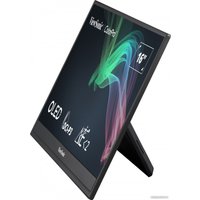 Портативный монитор ViewSonic ColorPro VP16-OLED