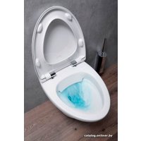 Унитаз подвесной Jacob Delafon Nouvelle Vague EDJ102-00 (без сиденья)