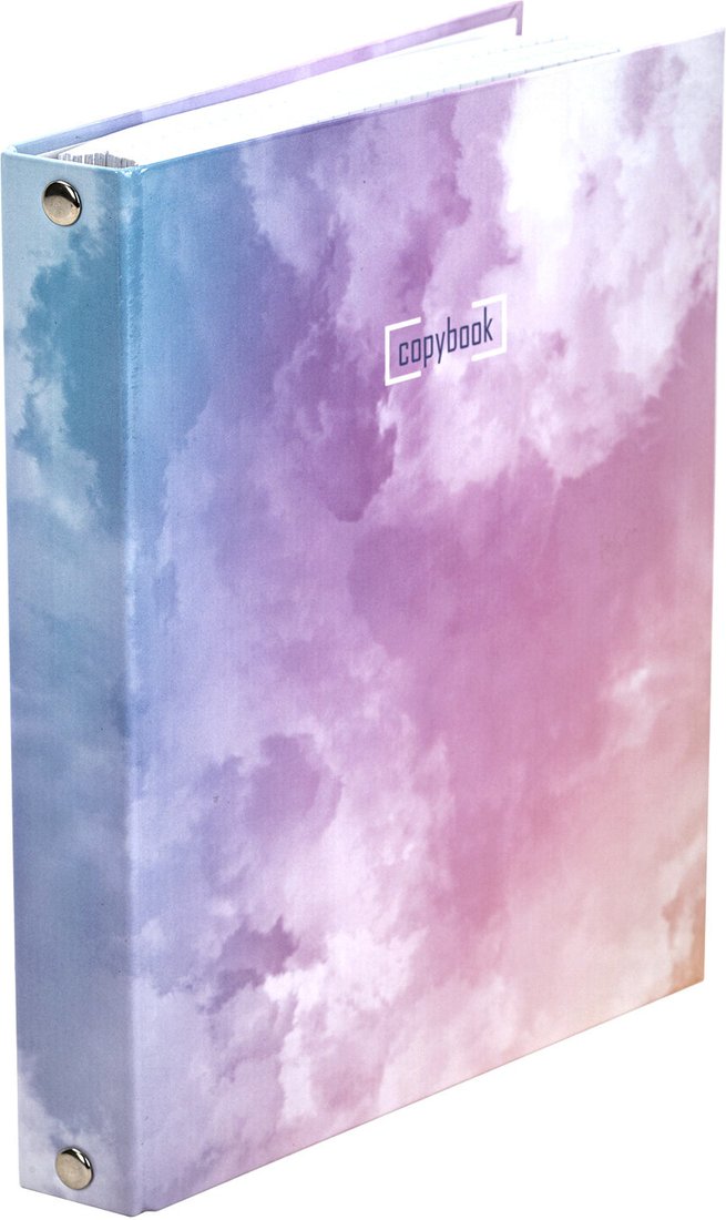 

Общая тетрадь BRAUBERG Cloud 404094 (240л)