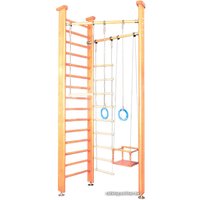 Детский спортивный комплекс Карусель 3Д.01.01 (светлый)