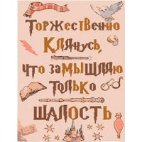 Картина по номерам Red Panda Клятва Гарри Поттер p55007