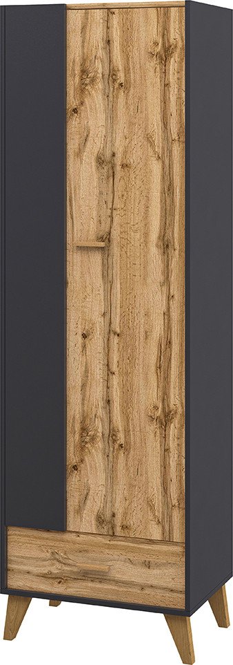 

Шкаф распашной Elva Нодо NEM01HP-2D1S-630/400/2000 (02) (дуб вотан/графит)