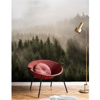 Фотообои Vimala Солнечный лес 5 270x300