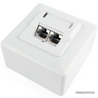 Розетка компьютерная Gembird MWS-2S5E-01