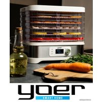 Сушилка для овощей и фруктов Yoer VitaSave FD01W