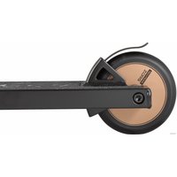 Трюковый самокат Tech Team Zorg 21 2021 (латунь/коричневый)