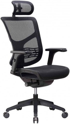 Офисное кресло Ergostyle Vista VSM01 (черный)