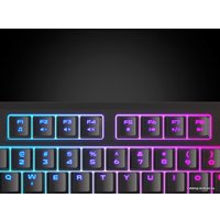 Клавиатура Genesis Rhod 300 RGB