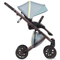 Универсальная коляска Anex E/type Special edition (2 в 1, Victor Wilson ET-SE02)