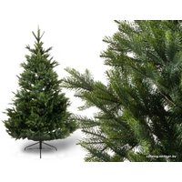 Ель GreenTerra Арлберг 2.1 м