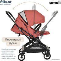 Коляска прогулочная «книга» Pituso Ameli (frosty berry)