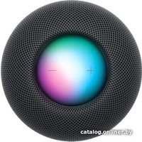 Умная колонка Apple HomePod Mini (серый космос)