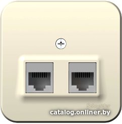 Розетка компьютерная Schneider Electric Blanca BLNIA045452