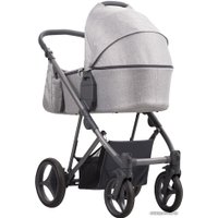 Универсальная коляска BEBETTO Flavio (2 в 1, 04)