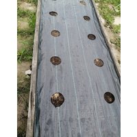 Укрывной материал GreenTerra Агроткань от сорняков 1.8х100м (130 г/м2, черный) UV