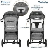 Коляска прогулочная «книга» Pituso Toledo EVA (серый/металлик)