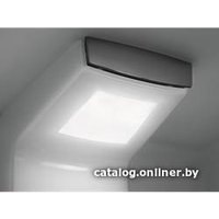 Холодильник Electrolux ENS6TE19S