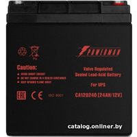 Аккумулятор для ИБП Powerman CA12240/UPS (12В/24 А·ч)